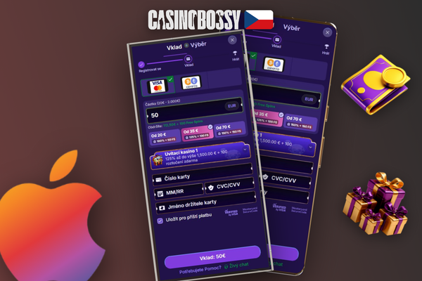 Rozhraní pokladny Bossy s přehledem metod a polem pro zadání částky v CZK